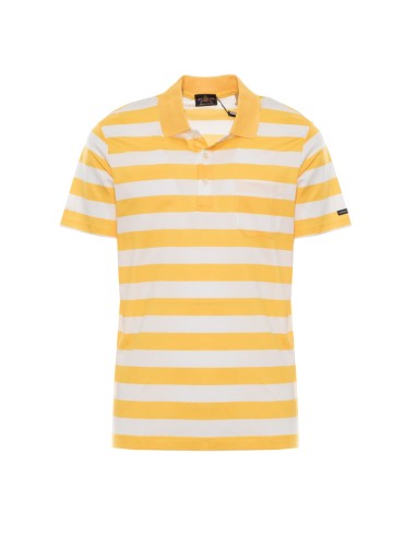 AMERIGO VESPUCCI POLO E20A033_AM AMARILLO (M)